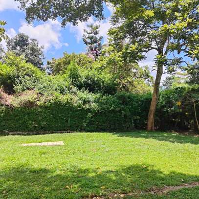 0.5 ac Land at Rosslyn image 3