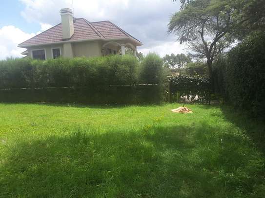 Lovely One Eighth Plots in Ongata Rongai image 7