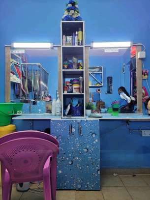 Salon on sale image 4