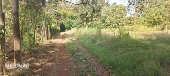 Kithimu 1½ Acres image 4