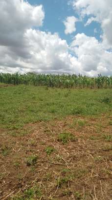1,000 Acres of Land is Available For Sale in Nanyuki image 1