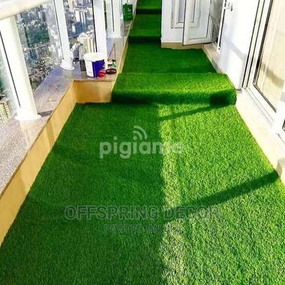 elegant carpet grass image 3