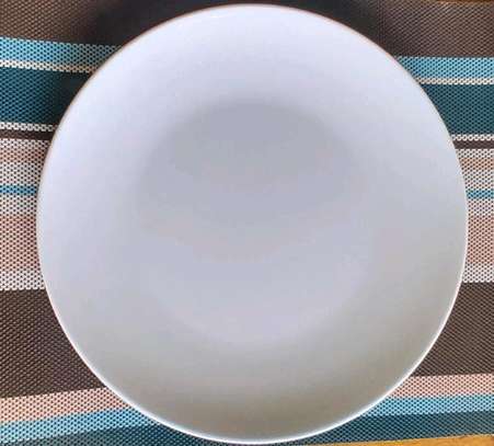 Melamine plates/12pc melamine dinner plates image 4