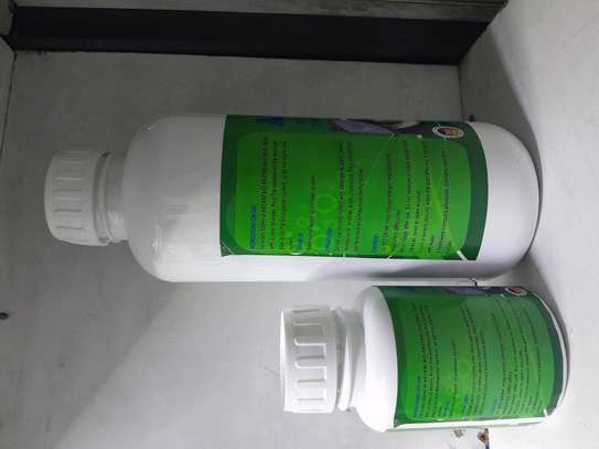 AECARE BIO-ENZYME/ BACTERIA, BIODIGESTERS  250ML,1 LITRE image 5