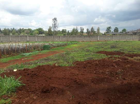 0.5 ac residential land for sale in Runda image 2