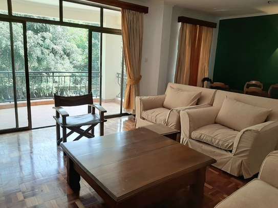 Furnished 3 Bed Apartment with Borehole in Riverside image 10