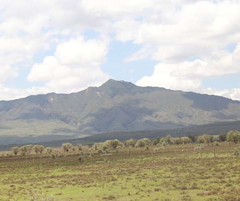 0.4 Acre Land For Sale in Naivasha , Pana Ranch image 4
