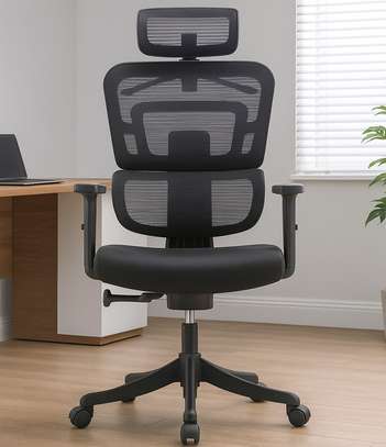 Office Chair: Mesh Orthopedic Designed Office Seat image 1