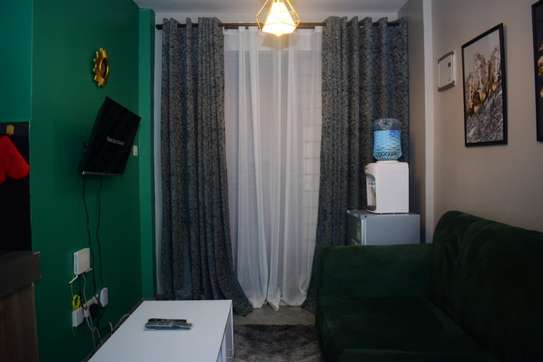 Furnished studio apartment for rent in Roysambu Area image 4
