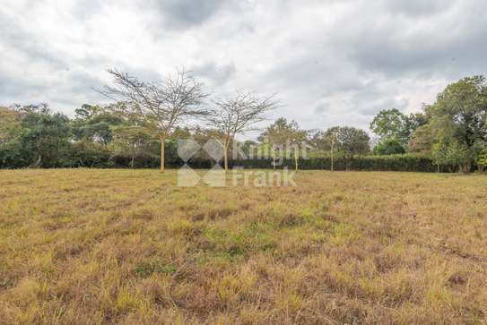 19.1 ac Land at Mukoma Road image 2