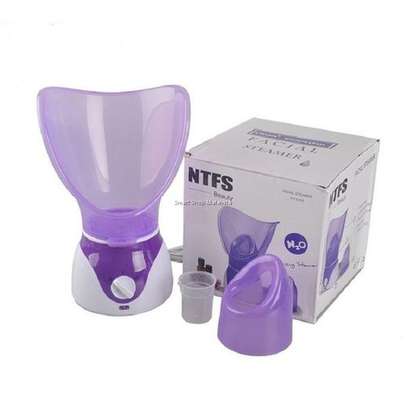 NTFS Beauty Facial Steamer-Mositurizing & Deep Cleaning Steamer image 1