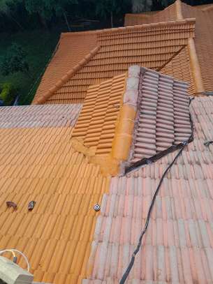 Roof Cleaner & Recoating image 1
