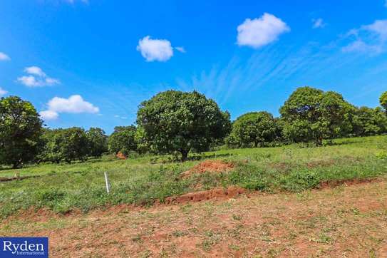 Land in Malindi image 14