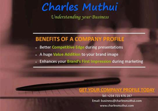 Professional Company Profile Services image 1
