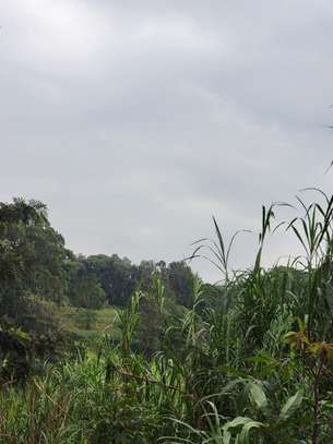 4 ac Land in Kitisuru image 1