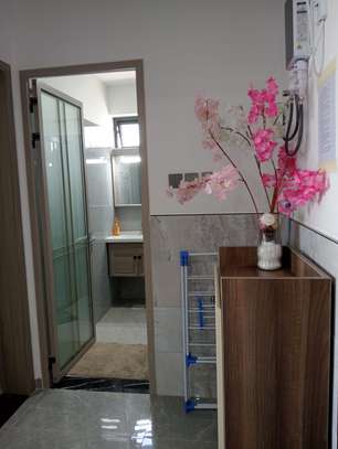 Furnished One bedroom Apartment image 14