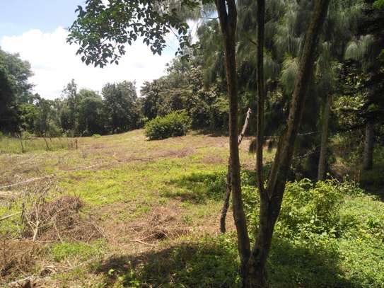 One Eighth (1/8) Plots in Ngong image 5