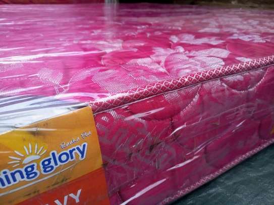 At 10,750 only ! 5 * 6 * 8 Heavy Duty Quilted Mattress image 3