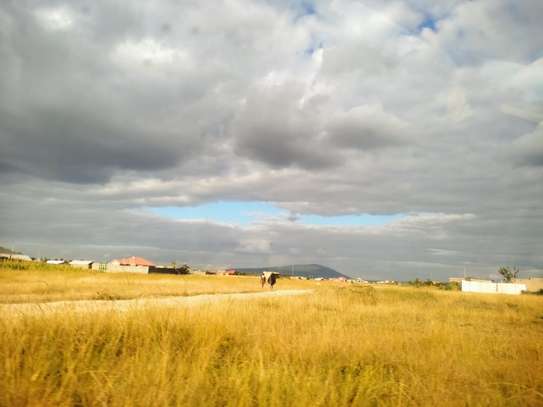 Affordable Plots in THIKA-MUTHARAA. image 10