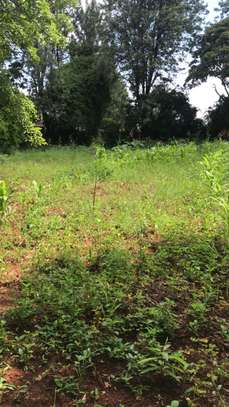 1 ac Land at Rosters Garden City image 1