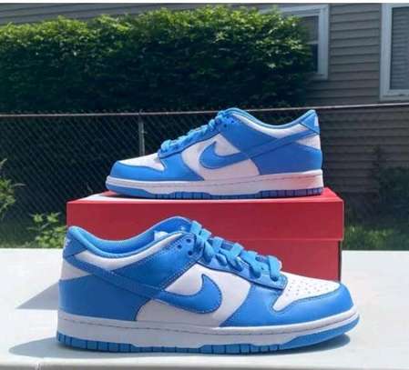 Nike SB dunk image 5