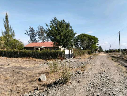 Jujafarm prime plots image 3