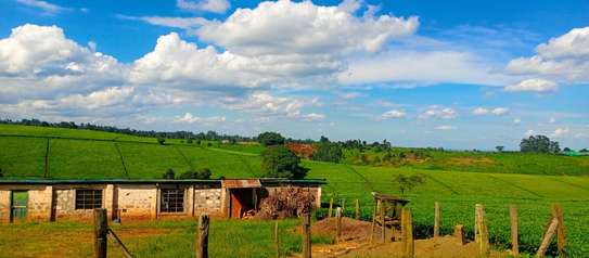 117 ac Land at Ngorongo Area image 4