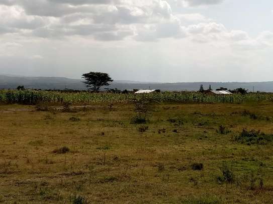 50×100 prime plots for sale at Mutaita in Nakuru East. image 1