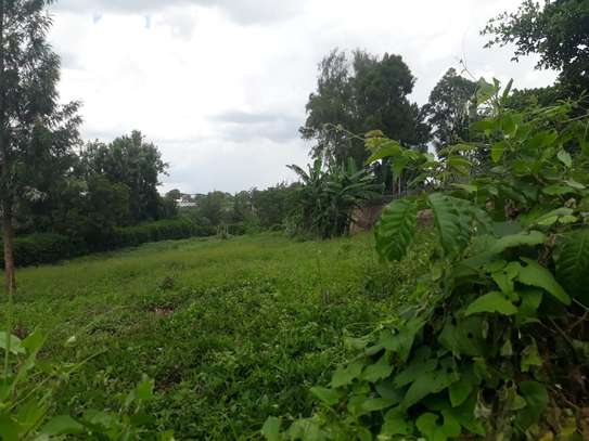 0.5 ac Residential Land in Thome image 2