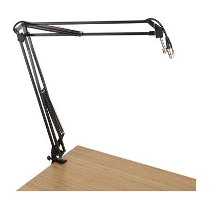 Studio Flexible Arm Microphone Desk Stand image 1