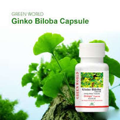 Green world ginkgo biloba capsule image 1
