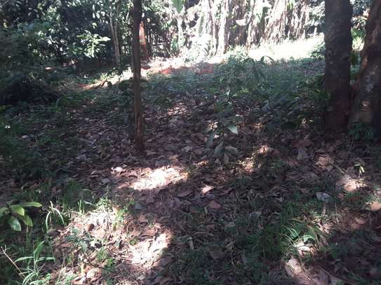 Very Spacious 6 BR House plus Sqs in Ngong image 11