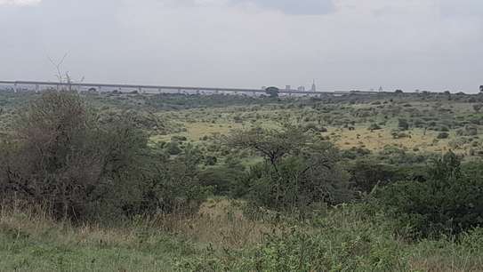 NATURE PARK VIEWING image 1