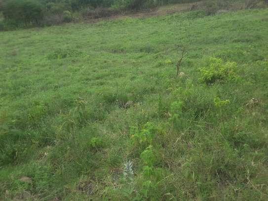 Beautiful one eighth plots in Ngong image 10