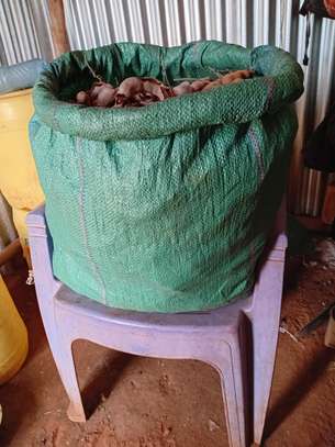 Fresh Tamarind Pods (Ukwaju) image 1