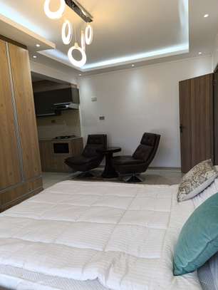 Studio Apartment with En Suite at Sports Road image 5