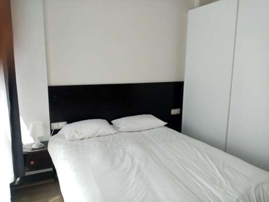 Serviced 1 Bed Apartment with En Suite at Elite image 5