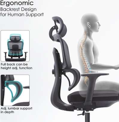 Office Chair: High Back Orthopedic Lumbar Support Chair image 3