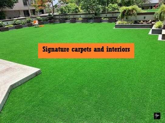 grass carpet    /. image 3