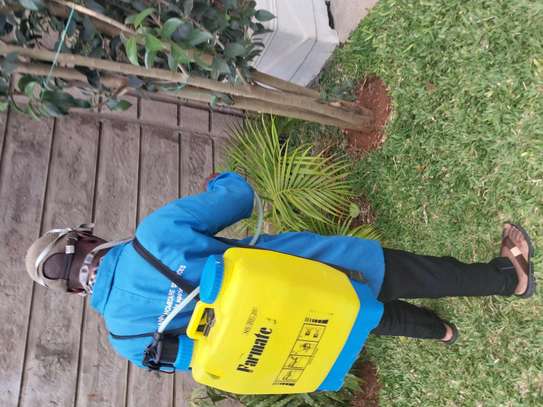 Cockroches/bedbugs image 2