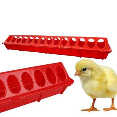 Linear Feeder for Chicks, Hens/ 50cm/28 Holes/No Wastage image 1