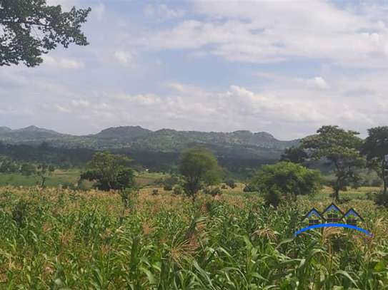 Kagundo road  70 acres 3.8 km from tarmac 3.4m per acre image 1