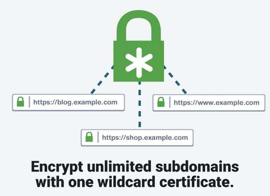 Wilcard Security SSL image 1