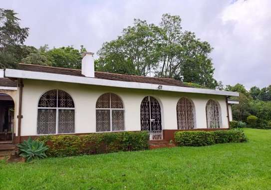 4 Bed House with En Suite in Loresho image 7