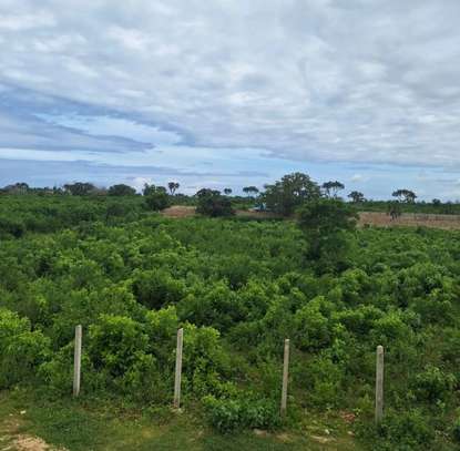 1 acre for sale in Diani image 3