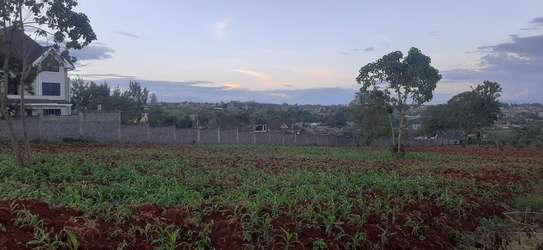 Residential Land at Adjacent To Muhasibu Estate image 12