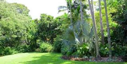 Bestcare Facility Services-Gardening & Maintenance Services image 15