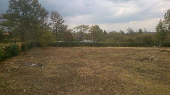 One acre land for sale image 4