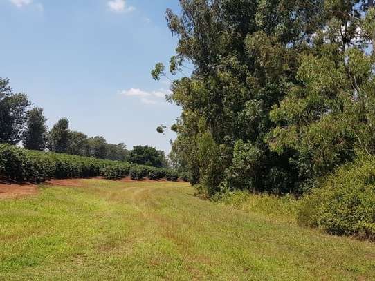 850 ac Land in Juja image 5