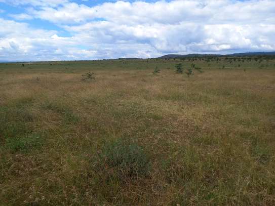 Affordable Plots for sale in Konza image 6